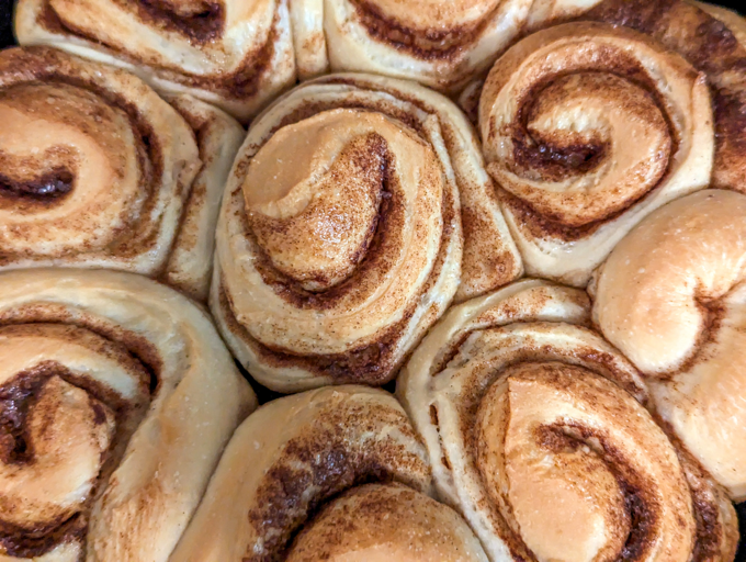 The Softest Cinnamon Roll Recipe
